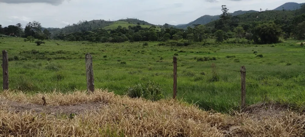 Fazenda, 300 m² - Foto 10