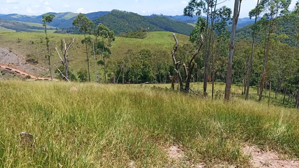Terreno, 200 m² - Foto 4