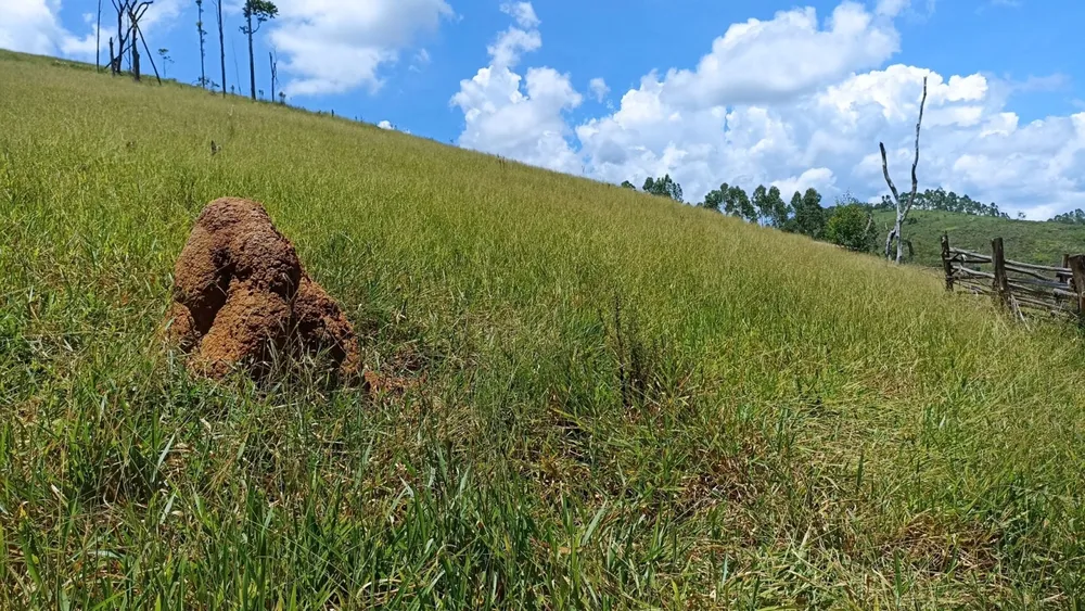 Terreno, 200 m² - Foto 2