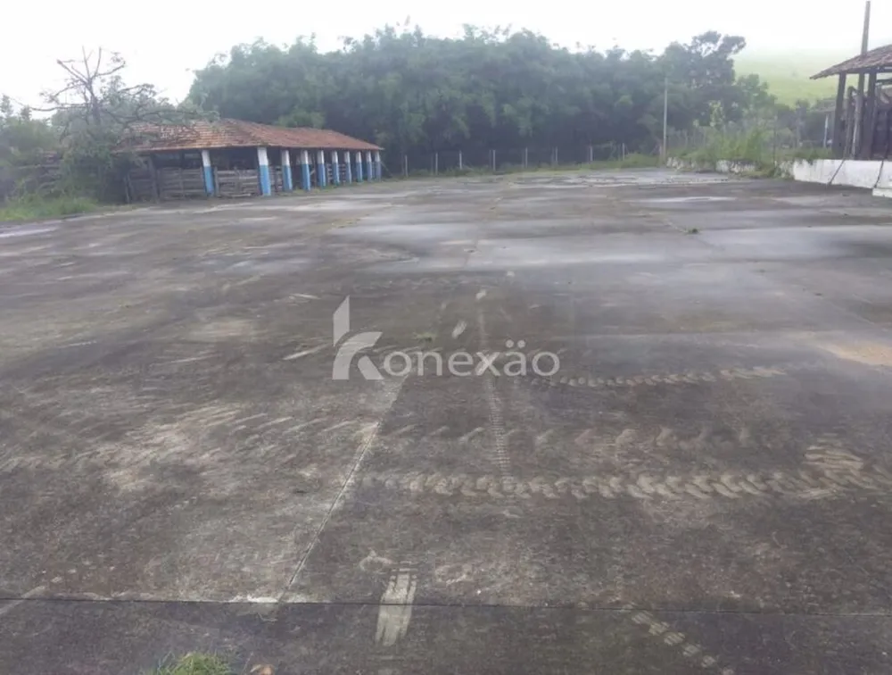 Fazenda, 100 m² - Foto 13