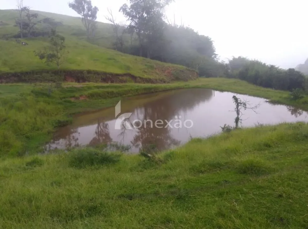 Fazenda, 100 m² - Foto 6