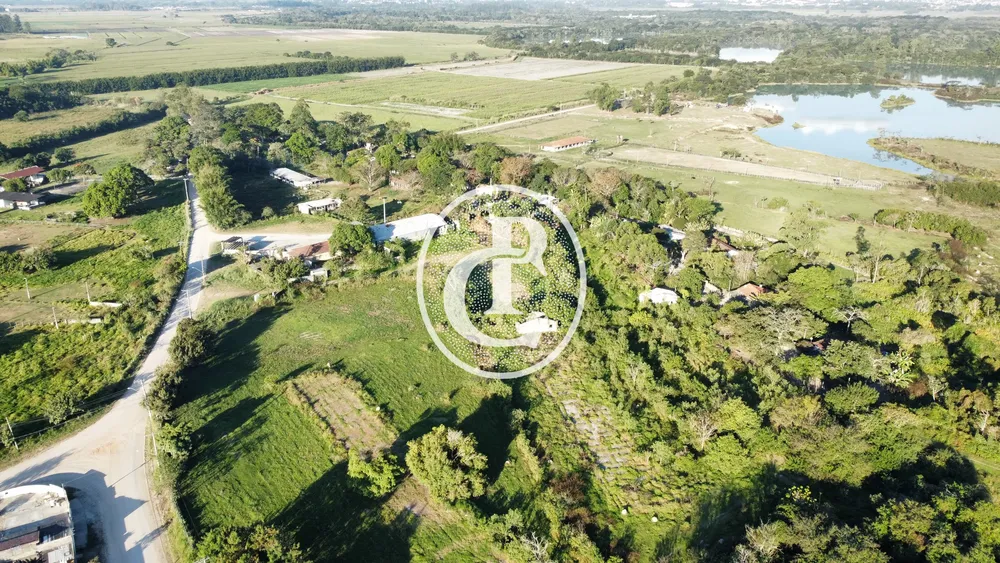 Fazenda, 273 hectares - Foto 7