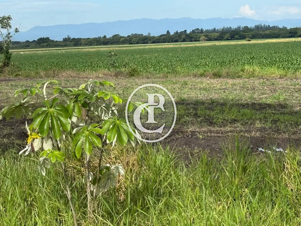 Fazenda, 273 hectares - Foto 3