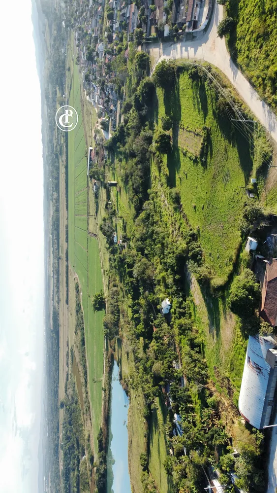 Fazenda, 273 hectares - Foto 9