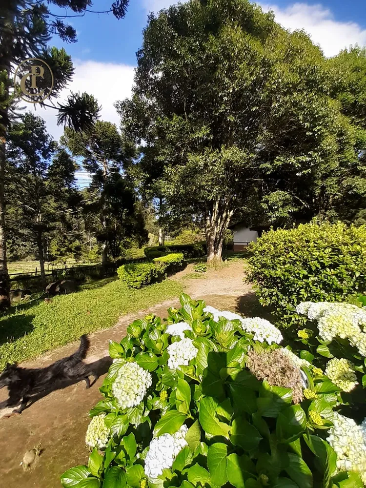 Fazenda, 5 m² - Foto 1