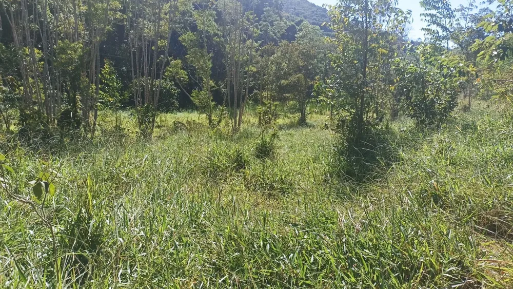 Sítio, 1 quarto, 200 m² - Foto 1
