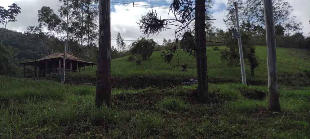 Terreno, 1 hectares - Foto 6