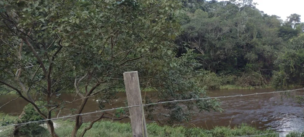 Terreno, 1 hectares - Foto 7