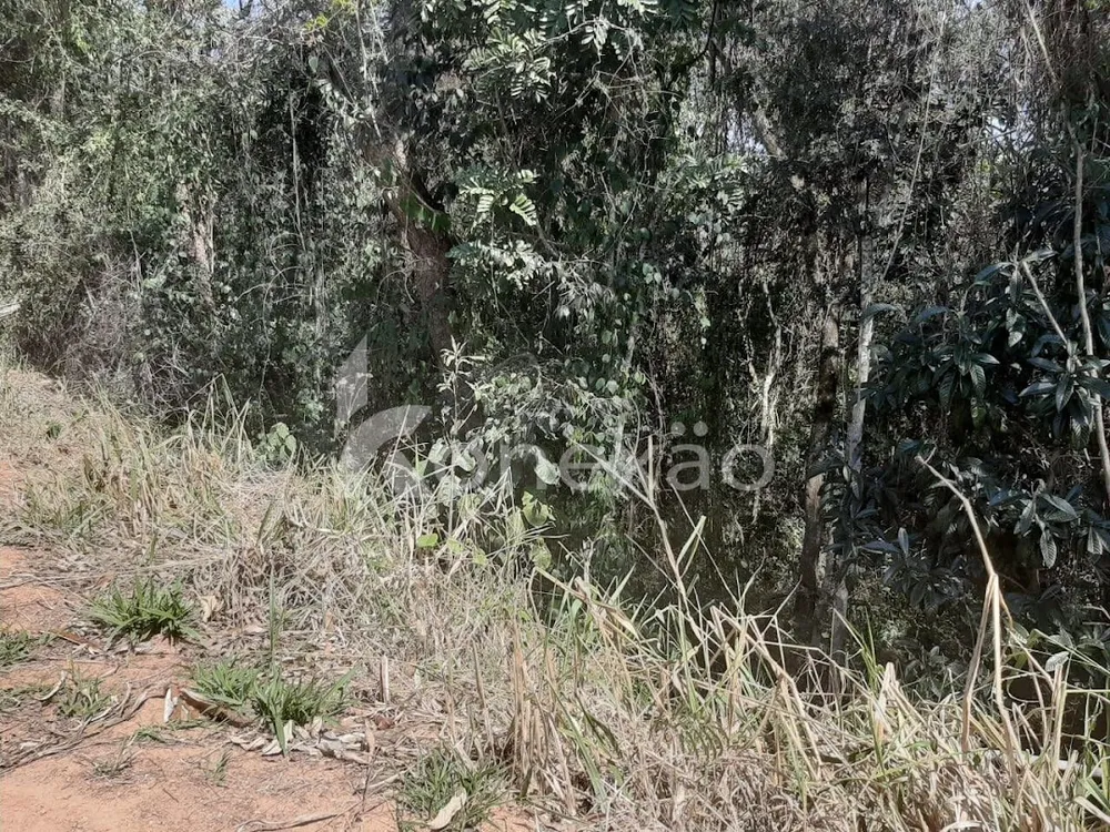 Chácara, 2 quartos, 150 m² - Foto 13
