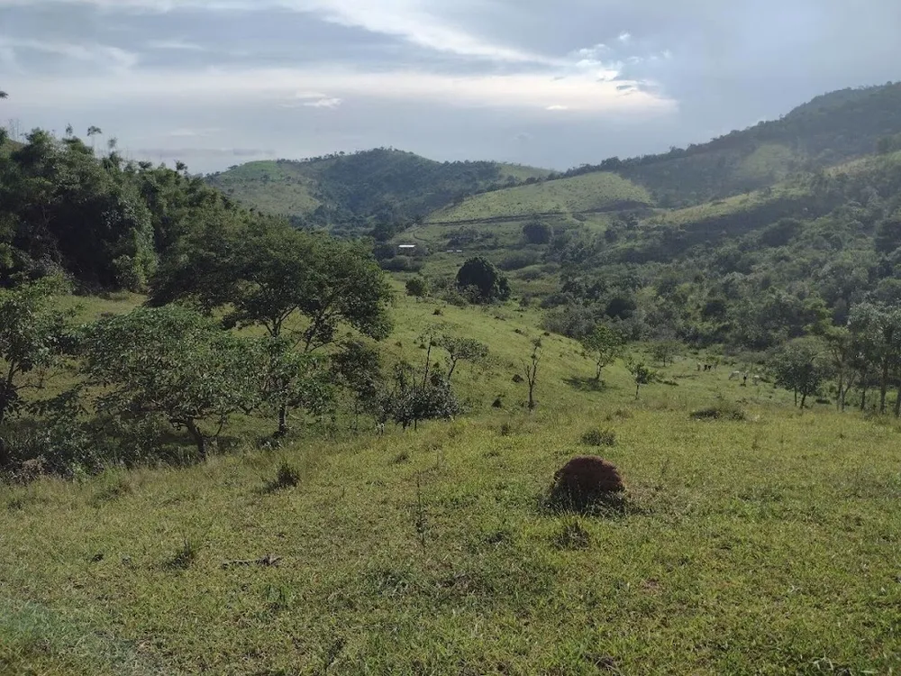 Fazenda, 225 hectares - Foto 10