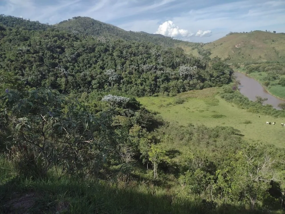 Fazenda, 225 hectares - Foto 3
