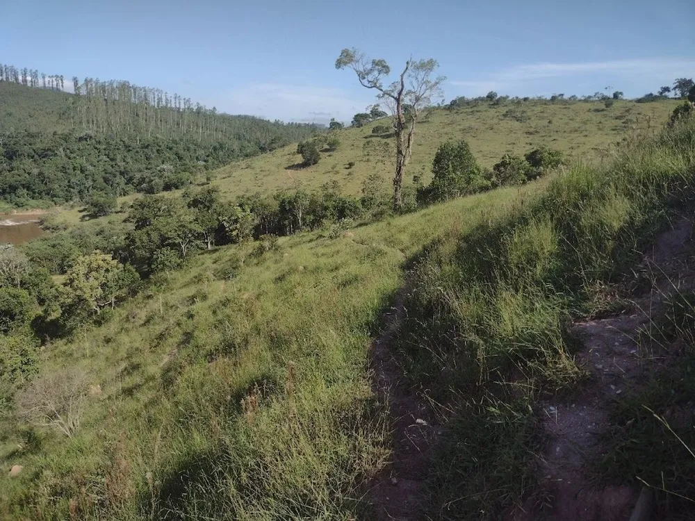 Fazenda, 225 hectares - Foto 7