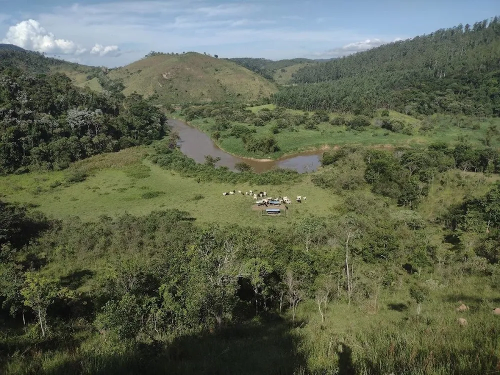Fazenda, 225 hectares - Foto 3