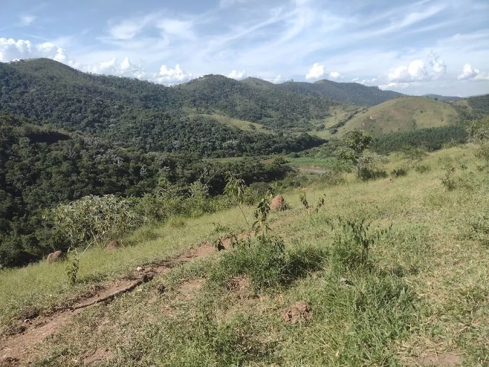 Fazenda, 225 hectares - Foto 6