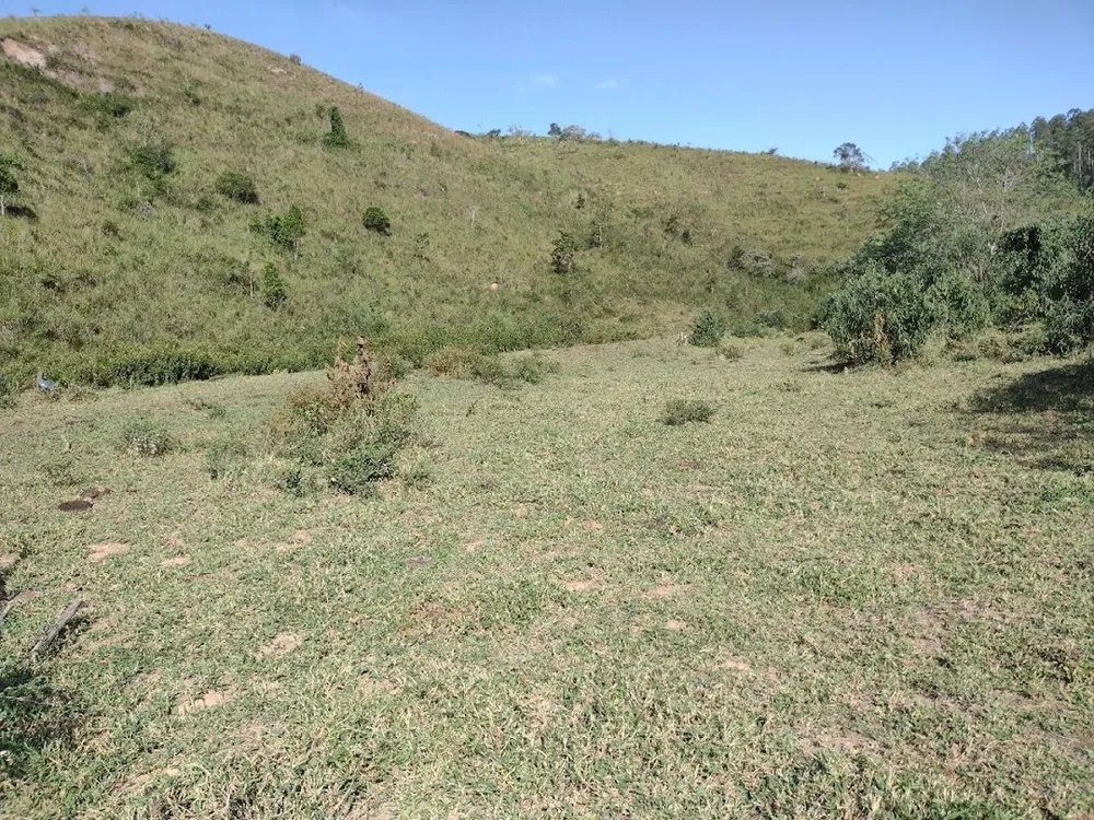 Fazenda, 225 hectares - Foto 2
