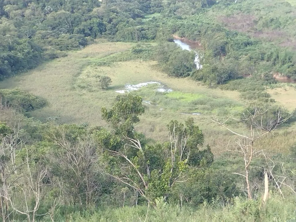 Fazenda, 225 hectares - Foto 8