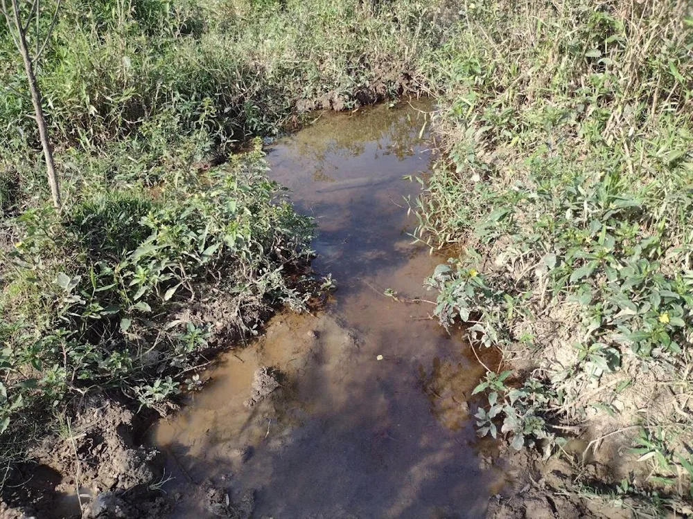 Fazenda, 225 hectares - Foto 11