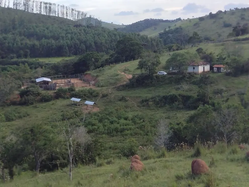Fazenda, 225 hectares - Foto 12