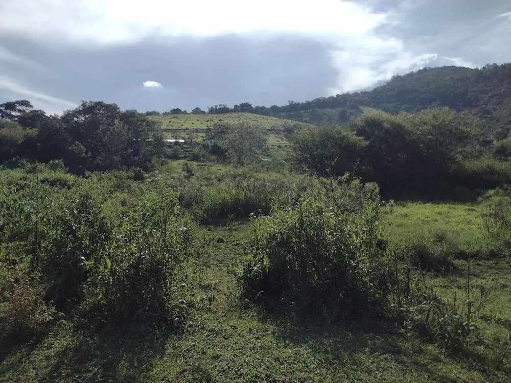 Fazenda, 225 hectares - Foto 15