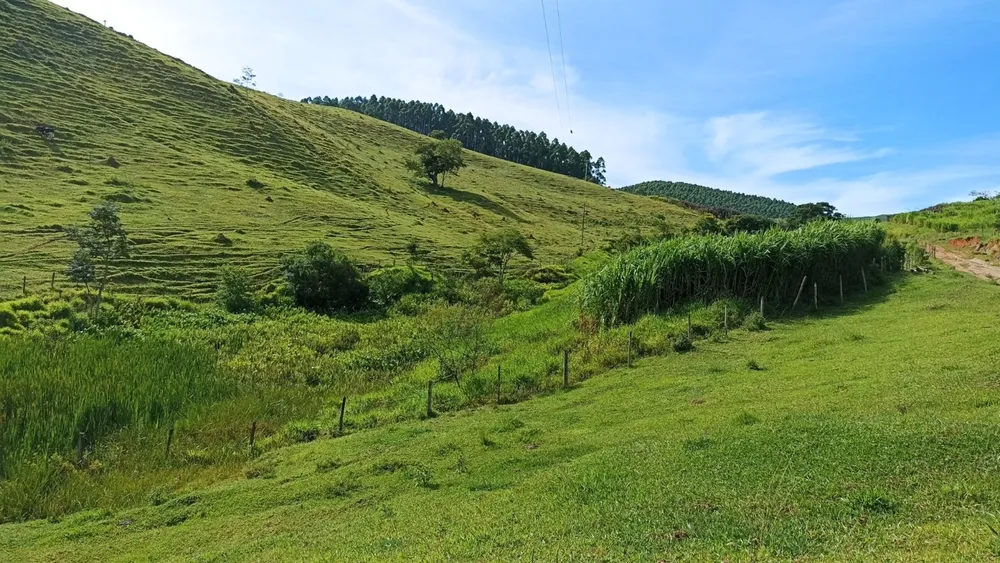 Fazenda, 42 m² - Foto 3