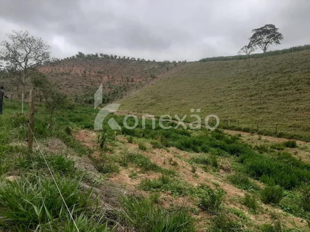 Fazenda, 400 m² - Foto 4
