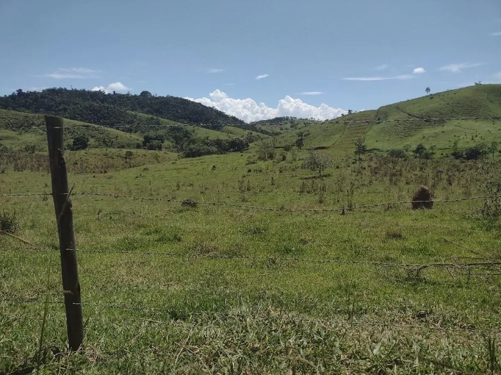 Fazenda, 133 hectares - Foto 1