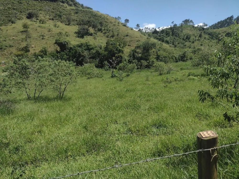 Fazenda, 133 hectares - Foto 4