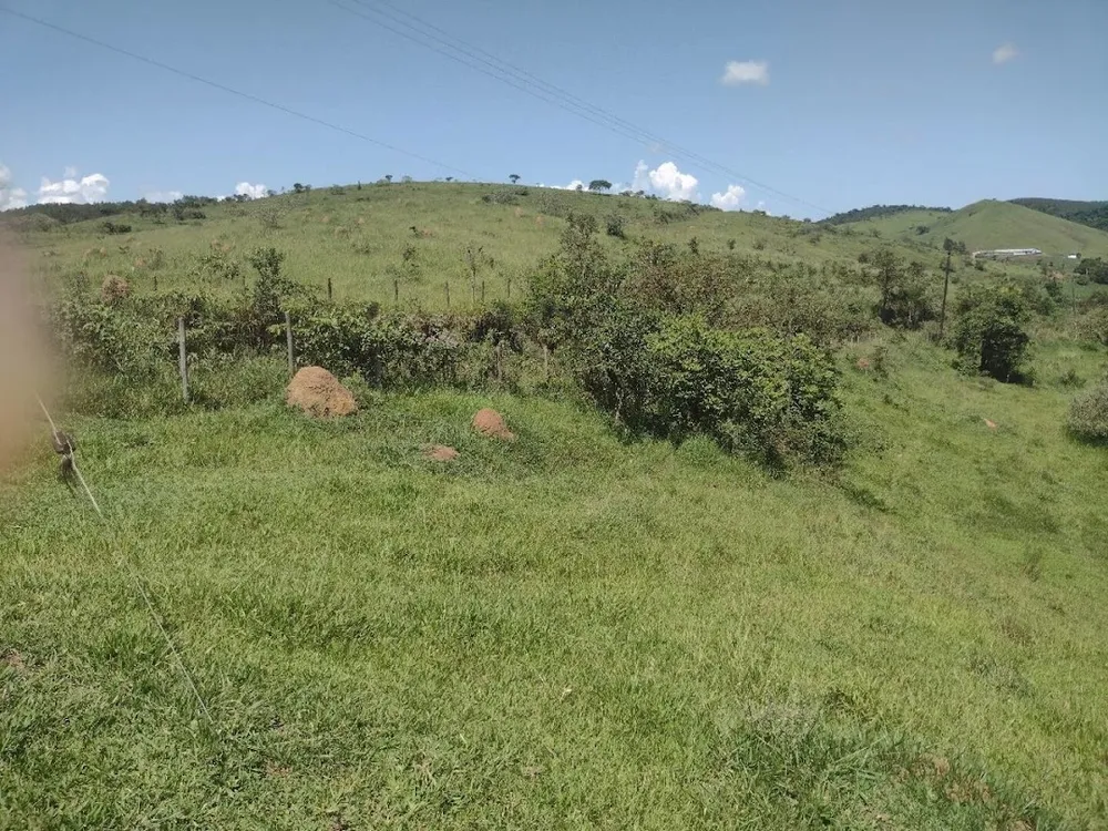 Fazenda, 133 hectares - Foto 10