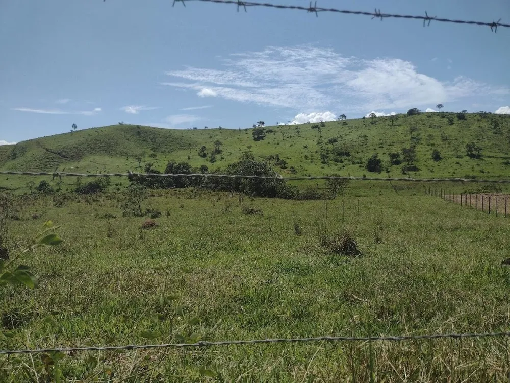 Fazenda, 133 hectares - Foto 12