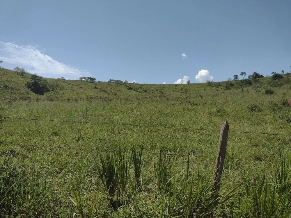 Fazenda, 133 hectares - Foto 9