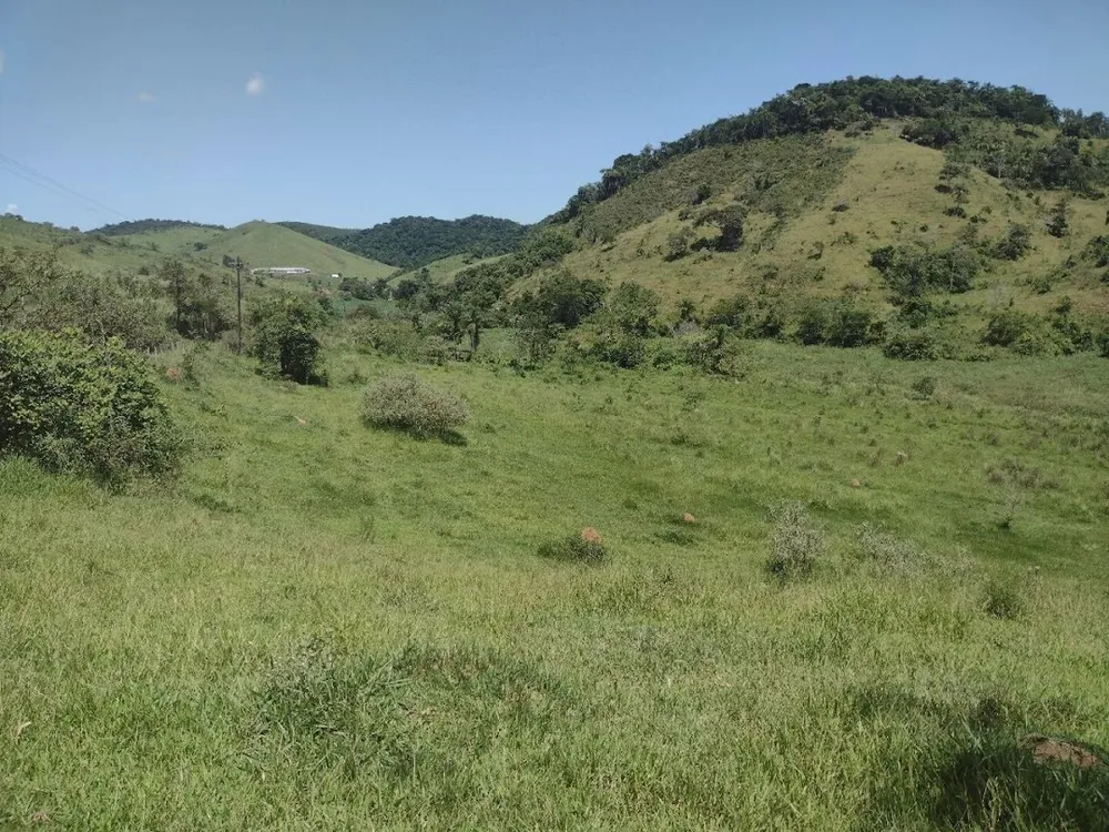 Fazenda, 133 hectares - Foto 11