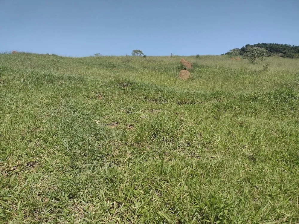 Fazenda, 133 hectares - Foto 2