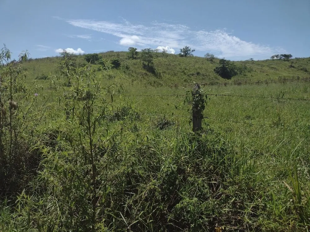 Fazenda, 133 hectares - Foto 8
