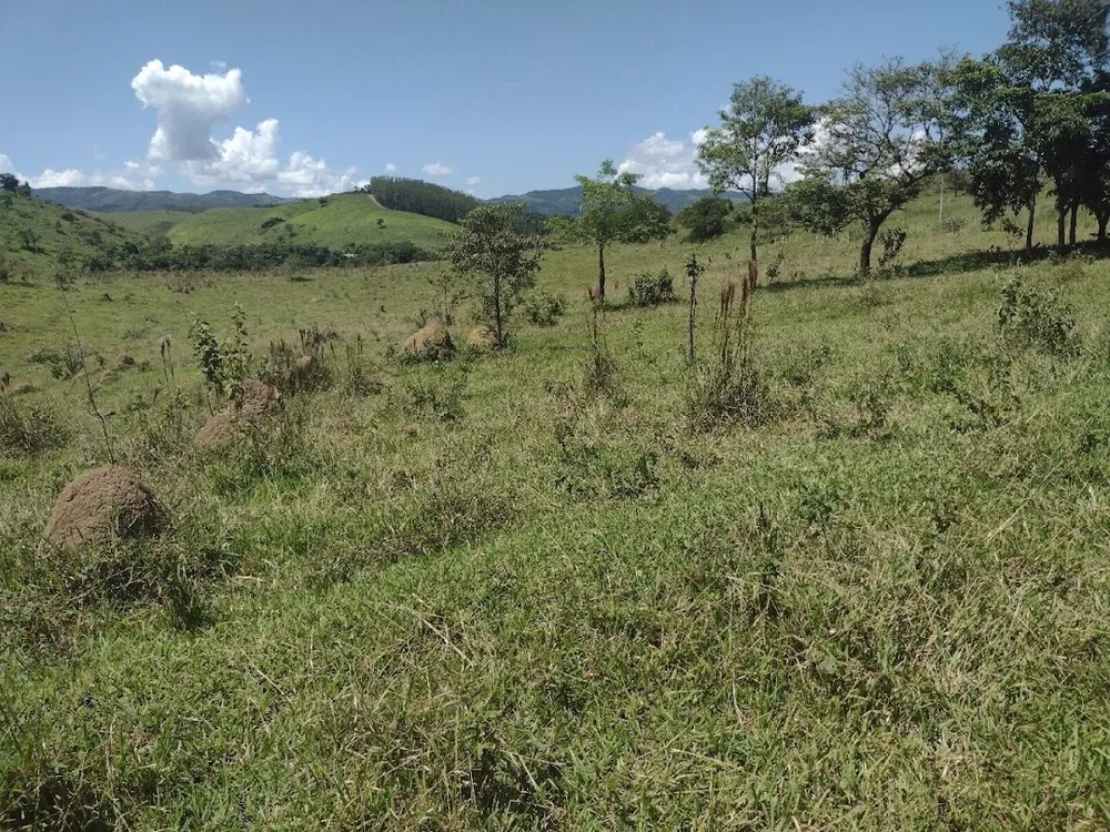 Fazenda, 133 hectares - Foto 13