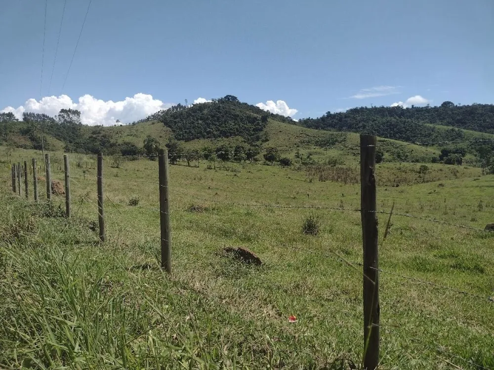 Fazenda, 133 hectares - Foto 6