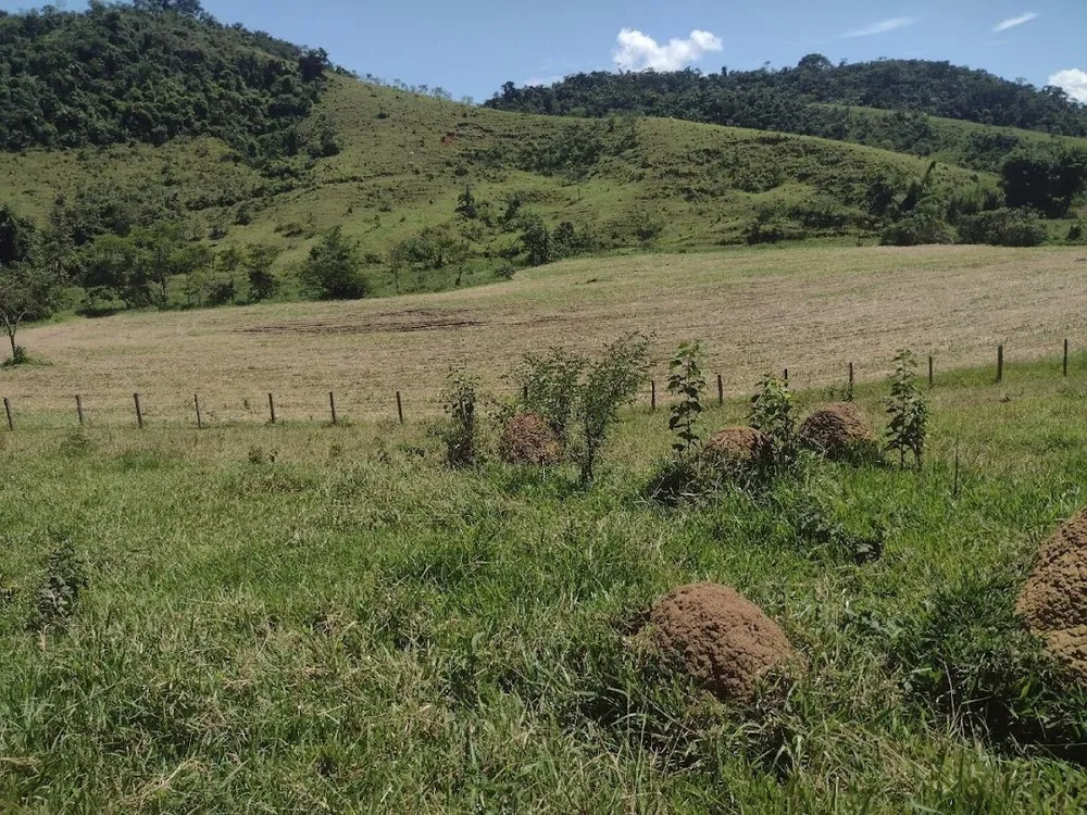 Fazenda, 133 hectares - Foto 2
