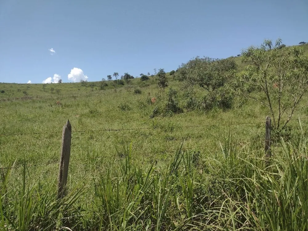 Fazenda, 133 hectares - Foto 3