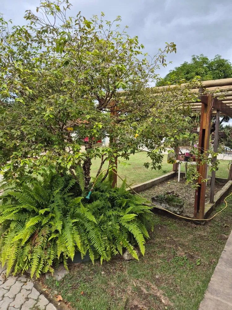 Chácara, 3 quartos, 3850 m² - Foto 1