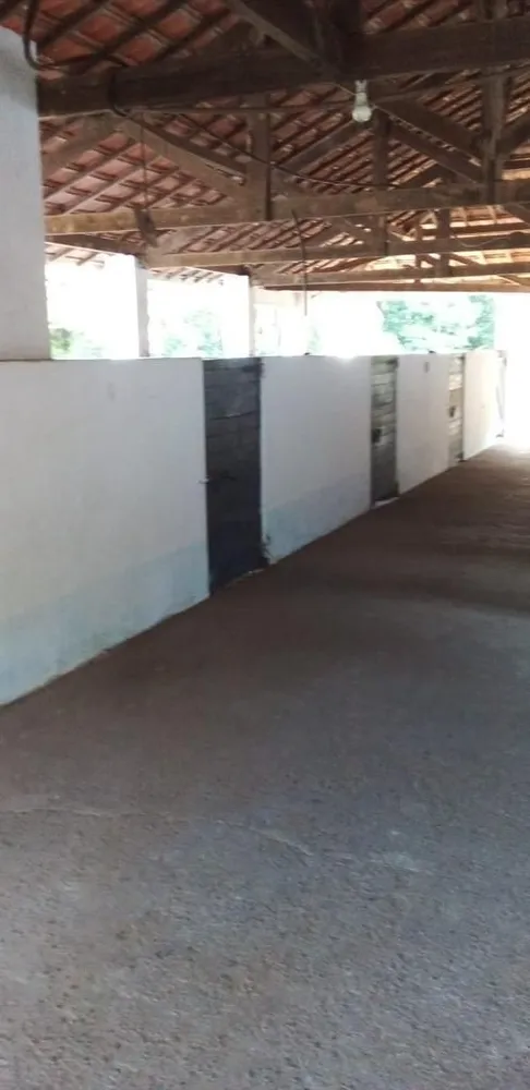 Fazenda, 30 hectares - Foto 1