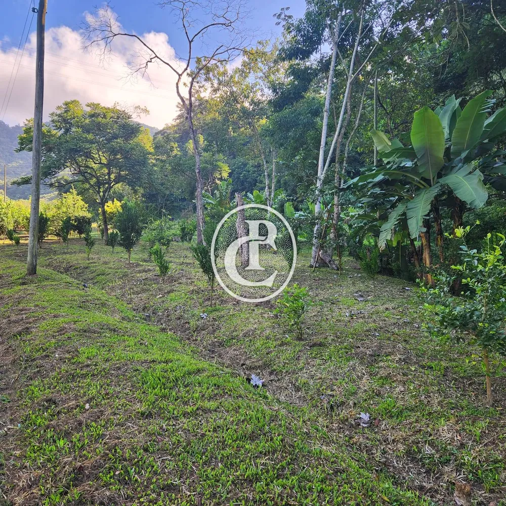 Sítio, 3 quartos, 180 m² - Foto 12