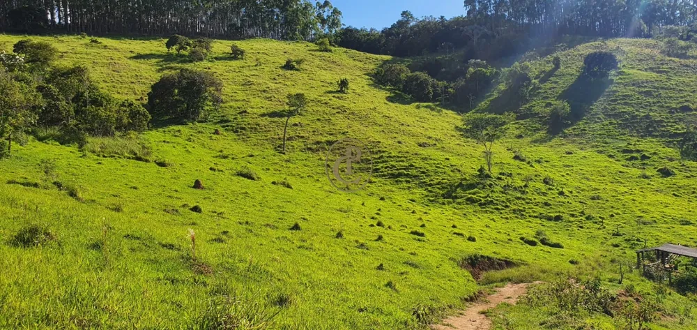 Fazenda, 400 m² - Foto 4