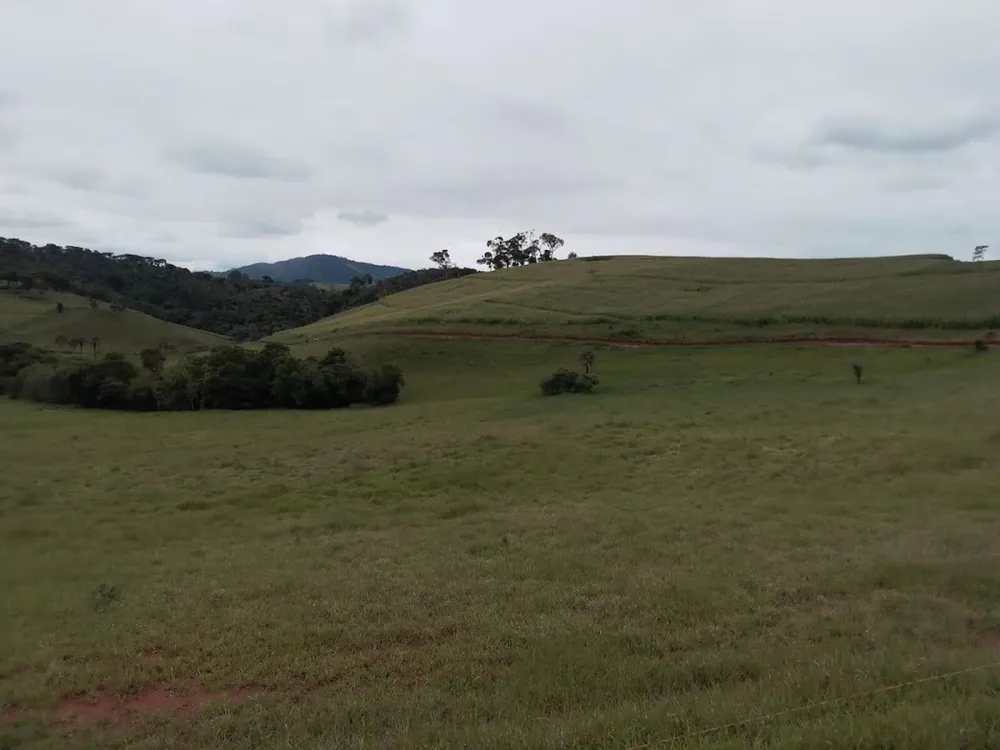 Fazenda, 130 hectares - Foto 16