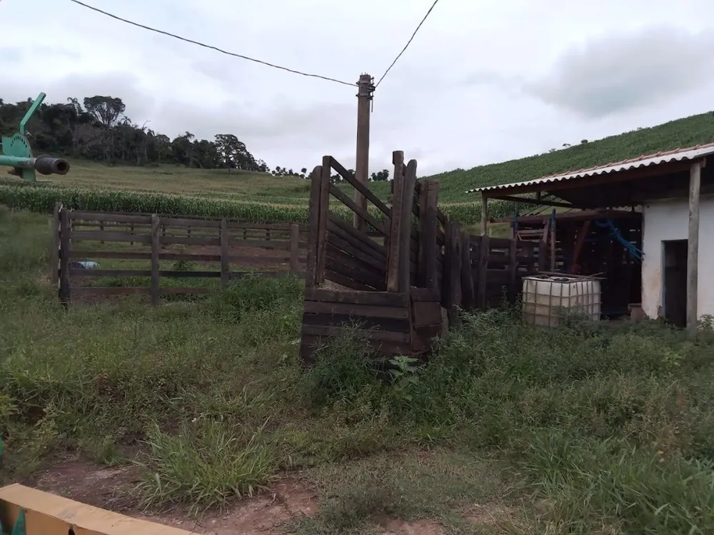 Fazenda, 130 hectares - Foto 9