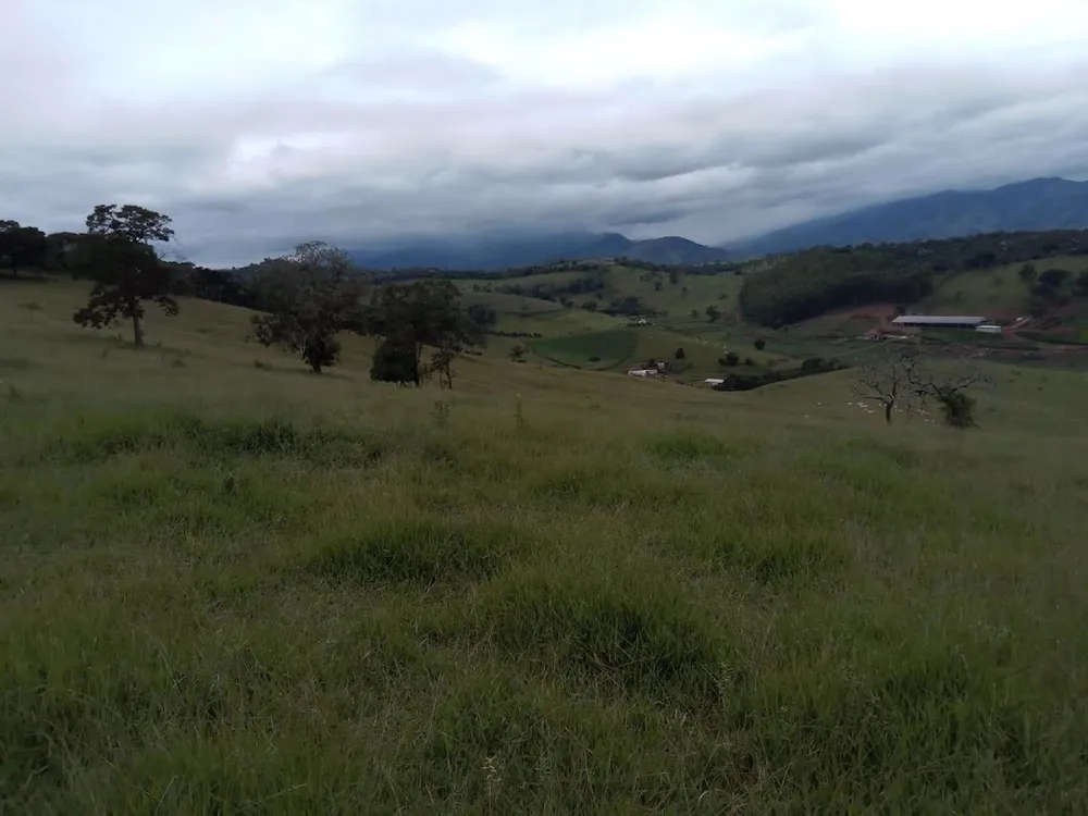 Fazenda, 130 hectares - Foto 3