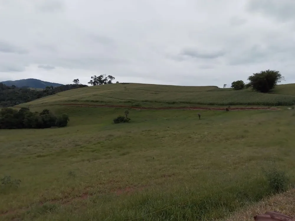 Fazenda, 130 hectares - Foto 11