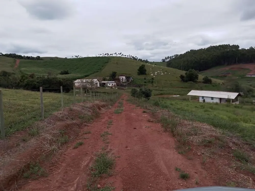 Fazenda, 130 hectares - Foto 10