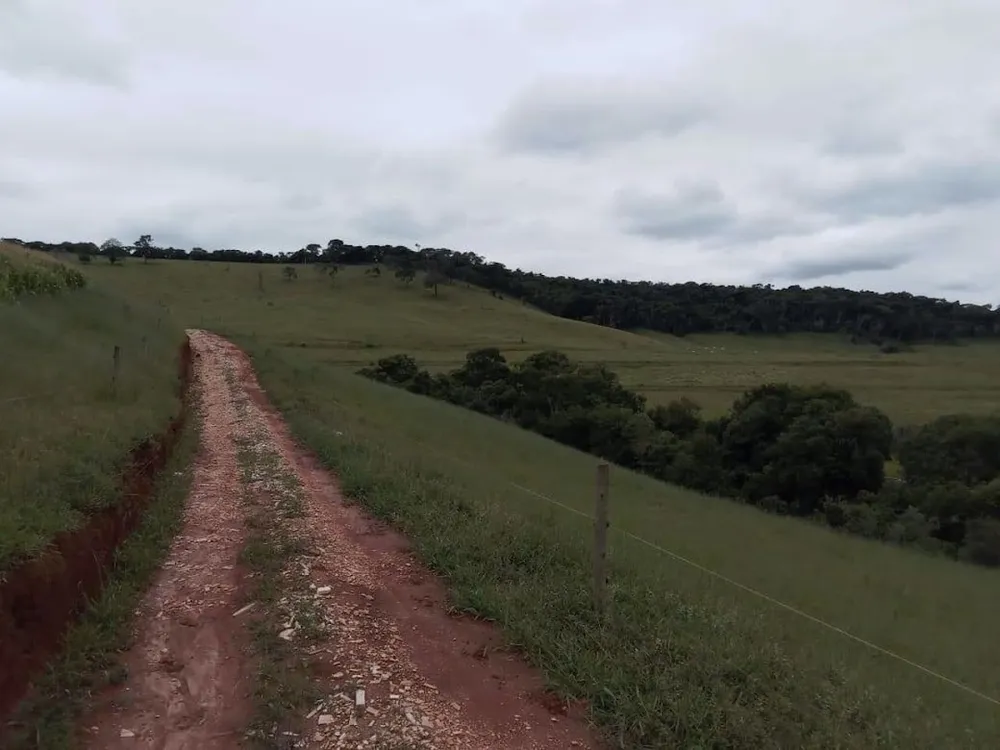 Fazenda, 130 hectares - Foto 4