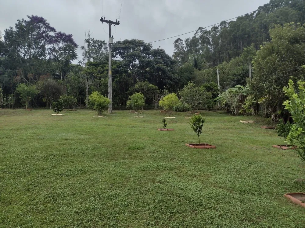 Chácara, 3 quartos, 100 m² - Foto 3
