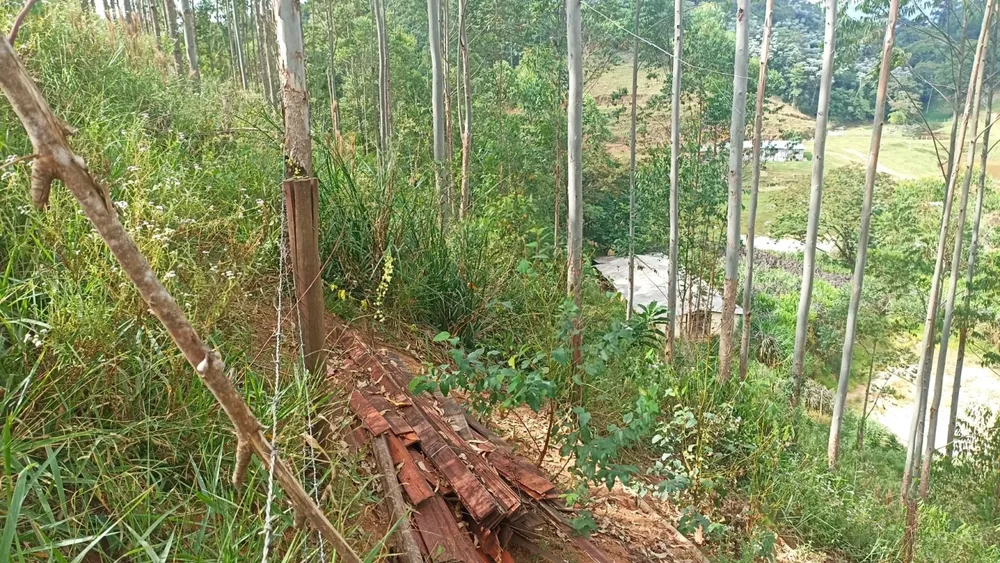 Chácara, 4 quartos, 200 m² - Foto 2