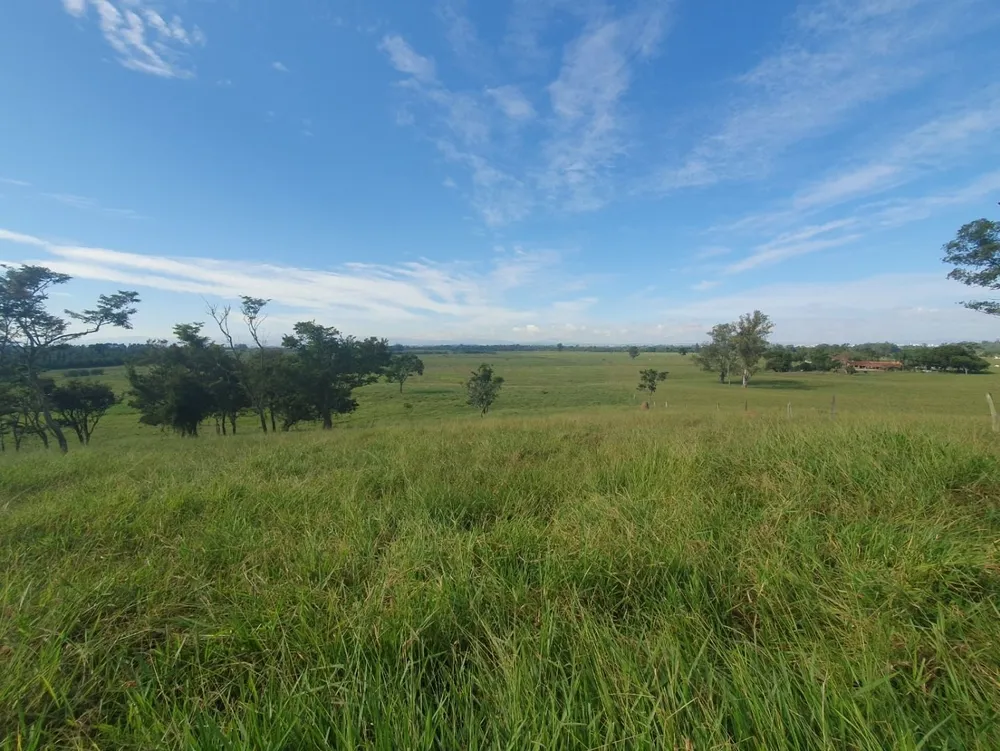 Fazenda, 97 hectares - Foto 3